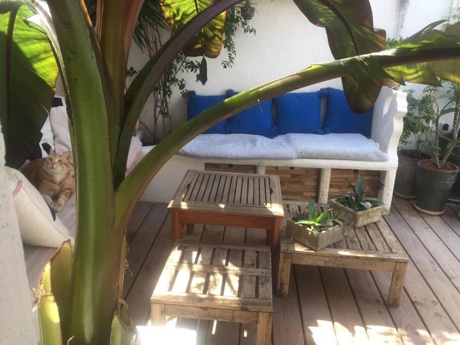 Grande Maison De Ville Atypique - 4 Nuits Mini La Seyne-sur-Mer Ngoại thất bức ảnh